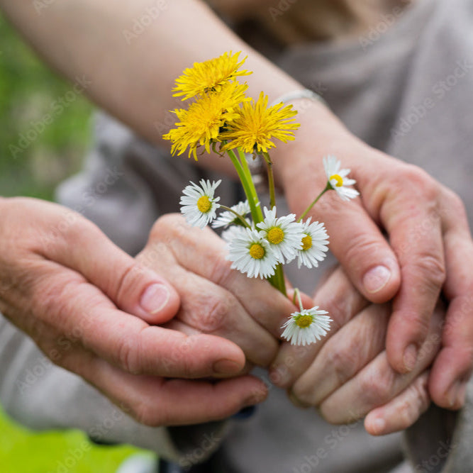 Rekindle - Dementia activity Generator